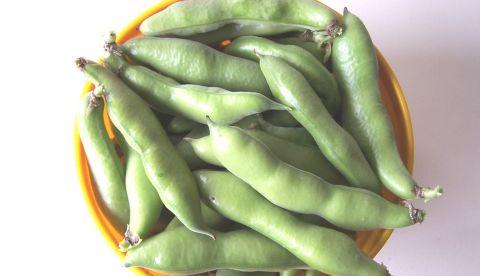 Fava é eficiente para manter o humor e combater a depressão