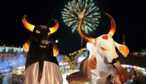 Feira Gastronômica de Garantido e Caprichoso serão atrações da Arena da Amazônia