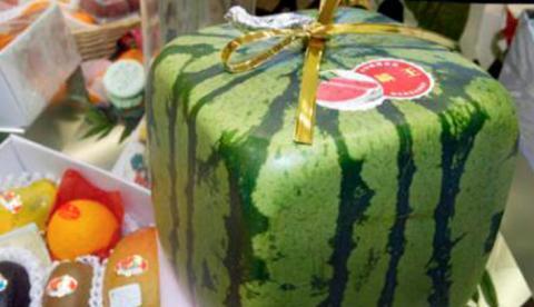 Conheça as 10 frutas mais caras do mundo 