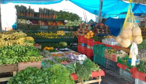 R$9 milhões em frutas e hortaliças deixam de circular no Amazonas 