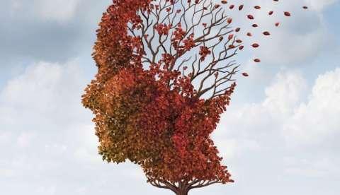 Óleo e tempero naturais ajudam a proteger memória 