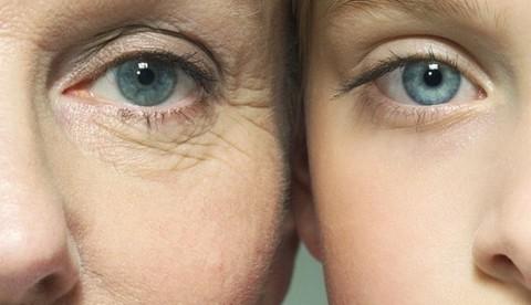 Fibra presente na aveia combate envelhecimento da pele 