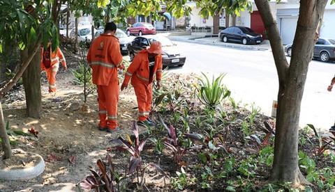 Jardins tomam lugar de lixeiras viciadas 