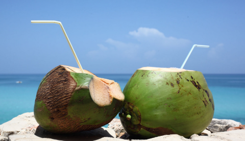 Saiba os benefícios de tomar água de coco logo cedo