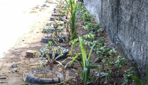 Lixeiras viciadas dão lugar a jardins em Manaus 