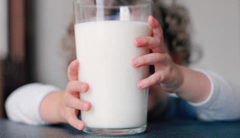 Alergia ou intolerância ao leite? Entenda a diferença