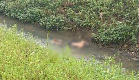 Justiceiro do Prosamim esfaqueia e mata suspeito de assalto em Manaus