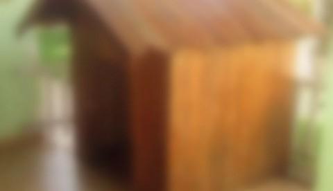 Menino é salvo de tiroteio após ser colocado em casa de cachorro pelo tio