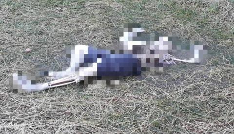 Corpo de homem é encontrado com parte do esqueleto exposto no Amazonas