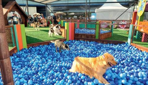 Shopping de Manaus terá espaço gratuito especial Turma da Mônica para pets e crianças