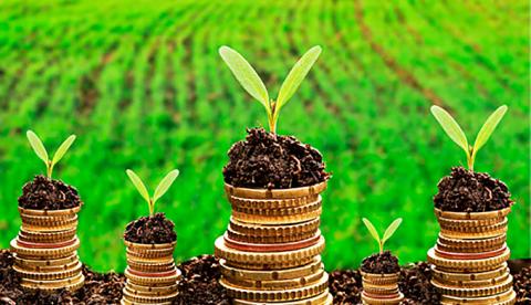 Lei concede descontos para pagamentos de dívidas de crédito rural