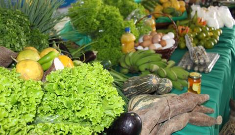 Prazo para credenciamento no Preme e Promove é prorrogado no Amazonas