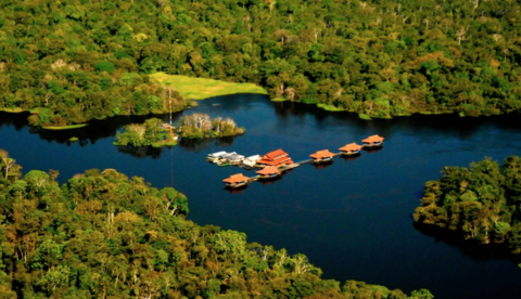 Instituto Mamirauá tem homenagem no Senado na segunda-feira