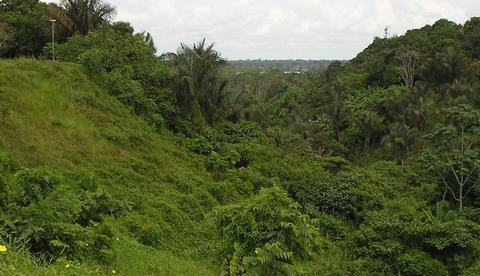 Ufam lança atlas online com objetivos de desenvolvimento sustentável 