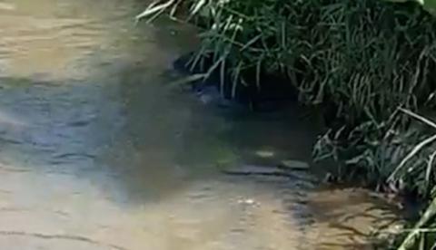 Corpo de adolescente é encontrado boiando em igarapé de Manaus