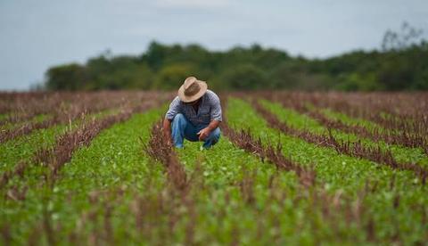 Prazo de entrega da Declaração do ITR acaba nesta segunda-feira