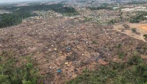 Manaus é uma cidade sem história e sem futuro