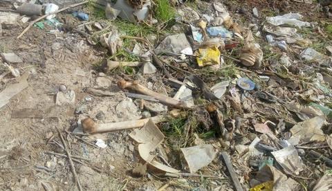 Ossada humana é encontrada na orla da Manaus Moderna 