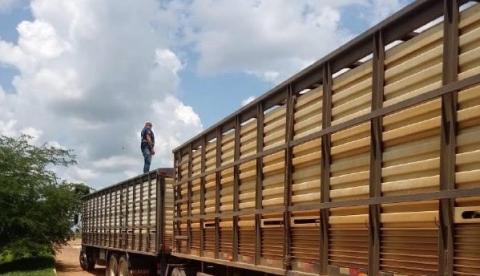 Parceria entre Amazonas e Acre atua na fiscalização de trânsito agropecuário