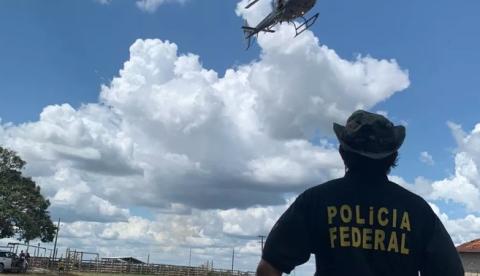 Operação da PF destrói mais de 360 mil pés de maconha em terras indígenas