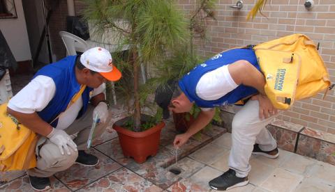 Agentes de saúde visitam casas para combater focos de mosquito da dengue em Manaus