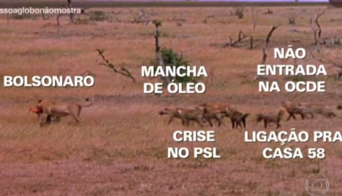 Quadro do Fantástico faz zoação com assuntos polêmicos envolvendo Bolsonaro; veja vídeo