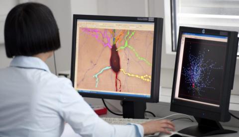 Cientistas descobrem que lítio pode reverter lesões no cérebro causada por radiação