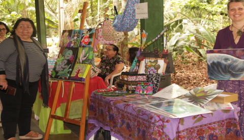 Inpa promove encontro para incentivar criatividade em Manaus