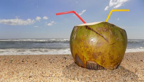 Conheça os benefícios da água de coco