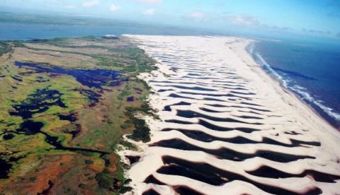 Manchas de óleo aparecem no Delta do Parnaíba, litoral do Piauí