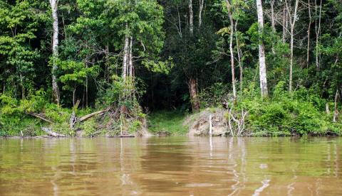 Capes vai liberar R$ 7 milhões para pesquisas na Amazônia Legal