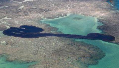 Capes vai liberar R$ 1,3 milhão para pesquisas sobre manchas de óleo