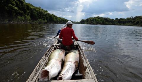 'Raízes': Livro que retrata o cotidiano dos povos indígenas é lançado em Manaus