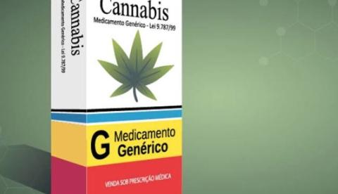 Anvisa aprova regulamentação de produtos à base de cannabis