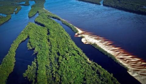 Amazonas é autorizado a captar recursos no exterior por manter a floresta conservada