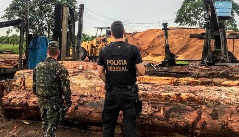PF faz operação contra índios e madeireiros por extração ilegal