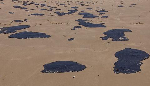 Governo libera auxílio para mais de 65 mil pescadores afetados por óleo no litoral brasileiro