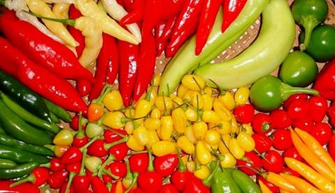 Evite explosão e incêndio: 18 itens para jamais colocar no micro-ondas