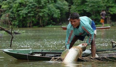 Programa de incentivo seleciona seis projetos inovadores no Amazonas