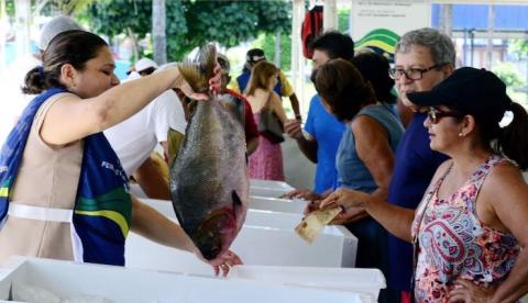 Confira os dias de funcionamento das Feiras de Produtos Regionais no mês de dezembro