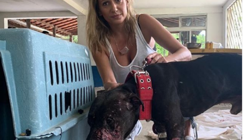 Luisa Mell resgata mais um animal de rinha de cães
