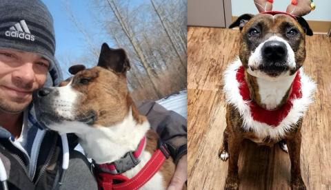 Cadela é adotada após dois anos de espera e recebe homenagem em abrigo