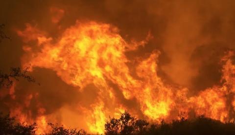Incêndio em zoológico na Alemanha mata animais