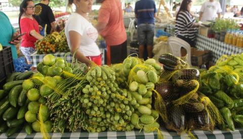Feira de produtos regionais na Nilton Lins retorna na próxima quarta-feira
