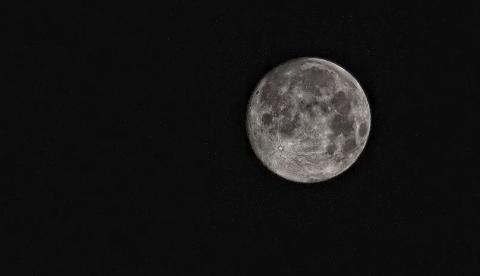 Milionário solitário procura mulher para viajar com ele até à lua