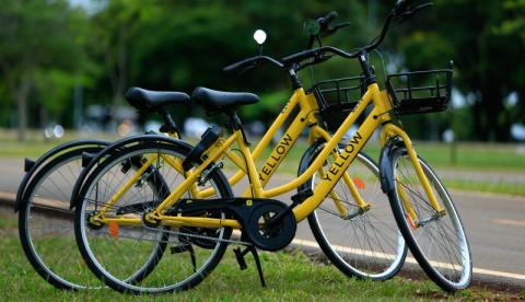 Grow reavalia se instalar na Zona Franca de Manaus e desarticula operações no Sudeste