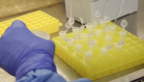 Casos suspeitos de coronavírus sobem para 12 no Brasil