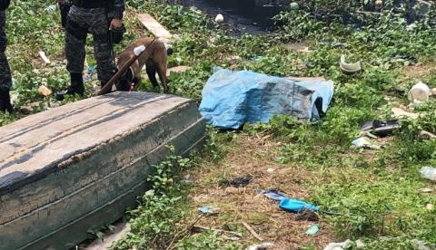 Encontrada em igarapé de Manaus pode ter morrido no ‘tribunal do crime’, diz polícia