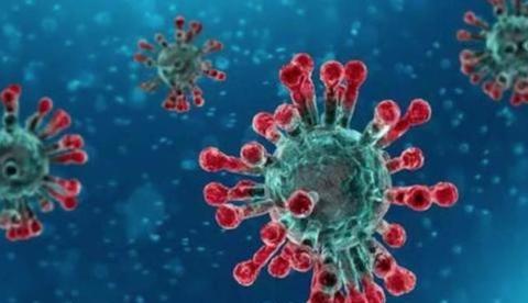 Brasil tem 8 casos suspeitos do coronavírus 