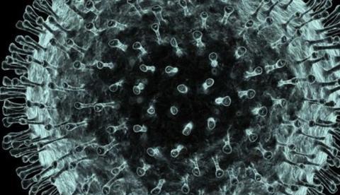 COVID-19 é o nome dado à doença provocada pelo novo coronavírus